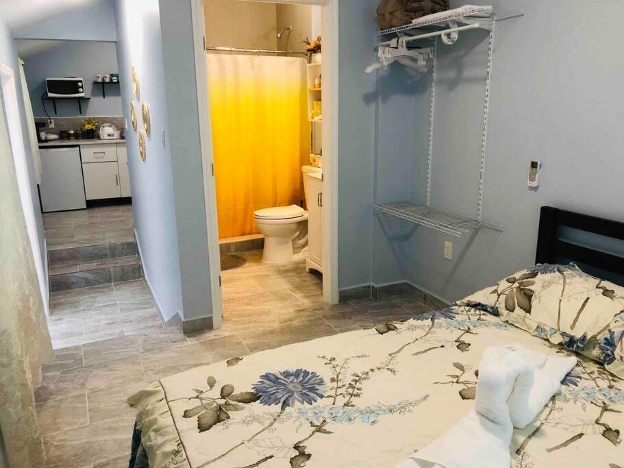 New Luxurious Studio Private In The Heart Of マイアミ エクステリア 写真