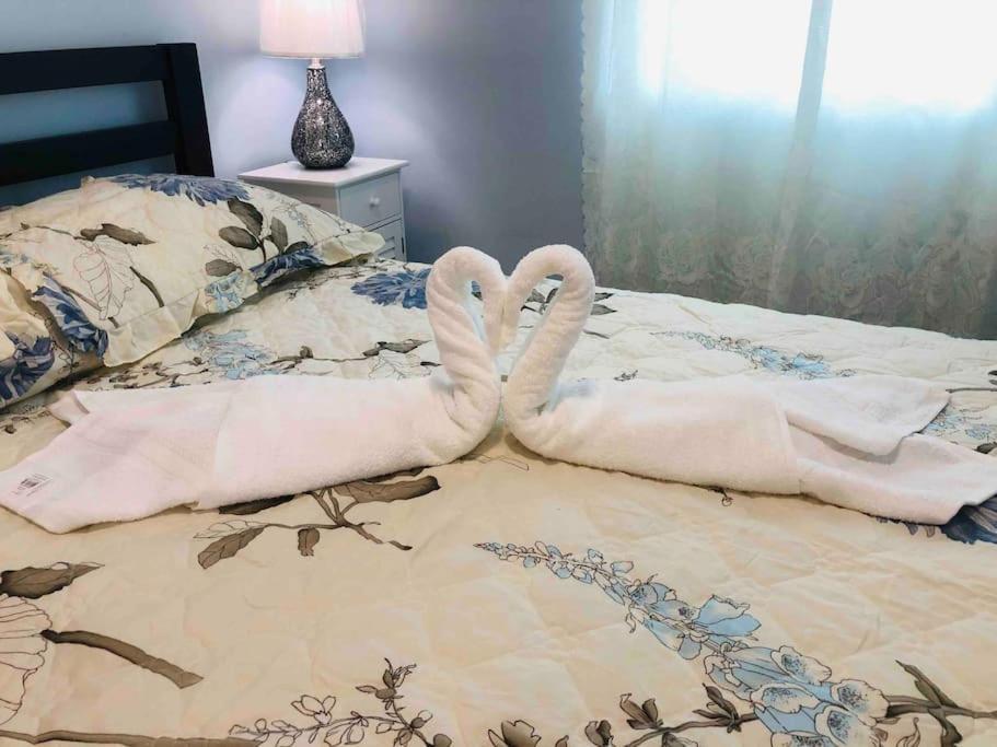 New Luxurious Studio Private In The Heart Of マイアミ エクステリア 写真