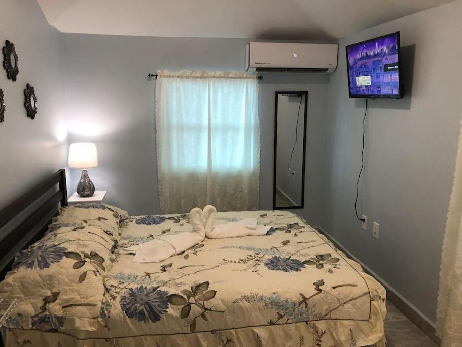 New Luxurious Studio Private In The Heart Of マイアミ エクステリア 写真